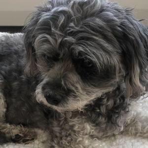 Meet your Posher, Cathy